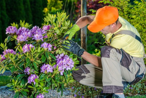 Screen reader support for Honoroak tree surgery website