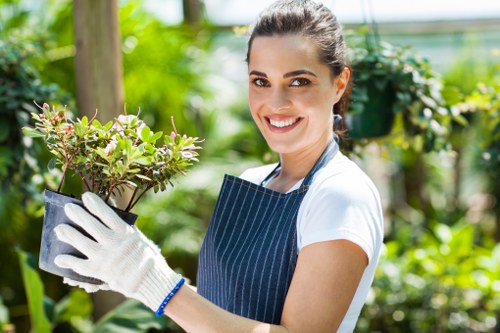 Professional tree inspection for a garden tree with limited access in Honoroak