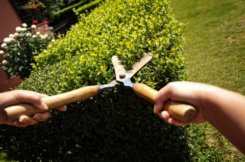 Professional hedge cutting service in a Honoroak residential garden