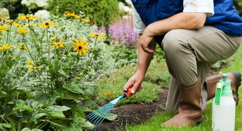Careful hedge reduction and tidy-up service in Honoroak
