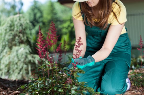 Governing law and contract terms for UK tree surgery services