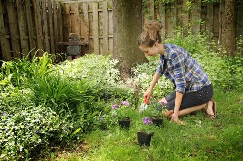 Customer and tree surgery team confirming a booking and service details