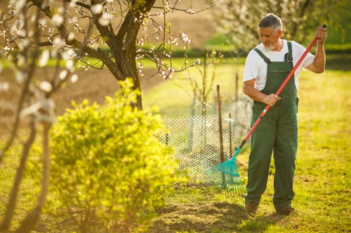 Experienced tree surgeons in Honoroak supporting healthy landscape management